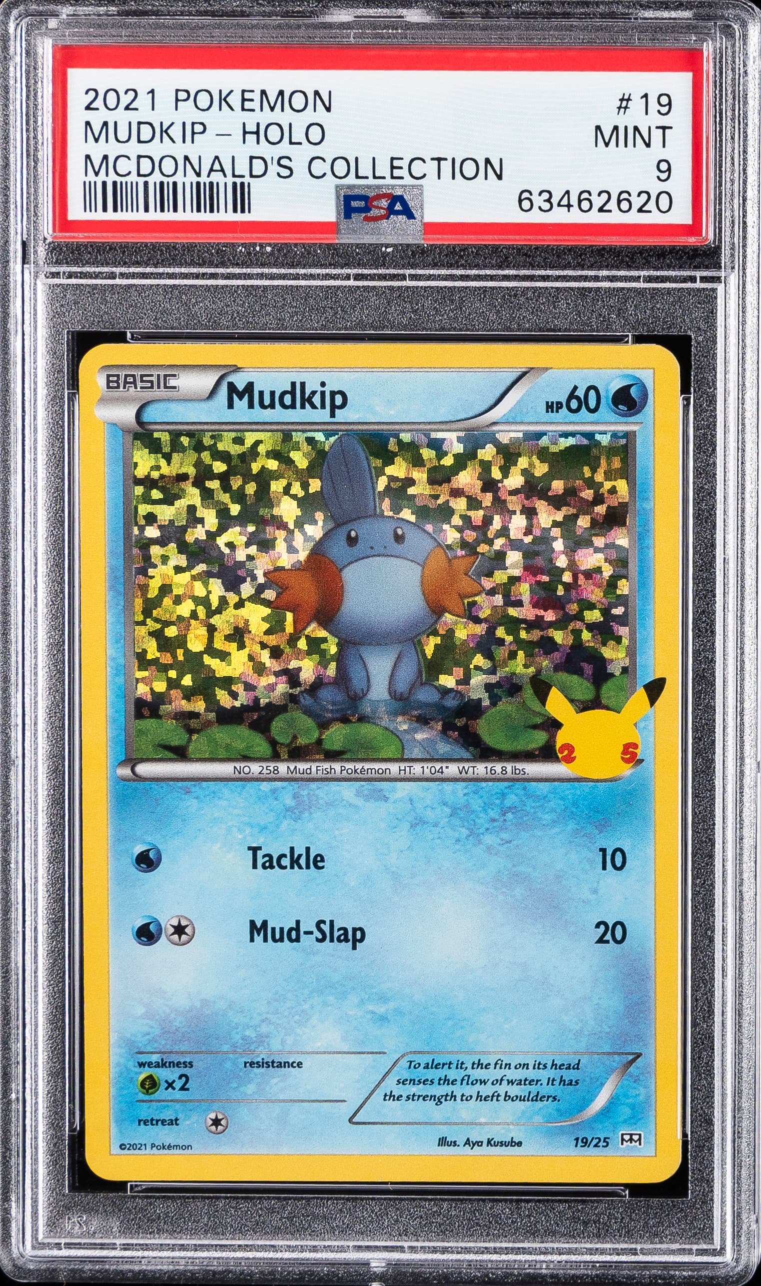 Mudkip-Holo