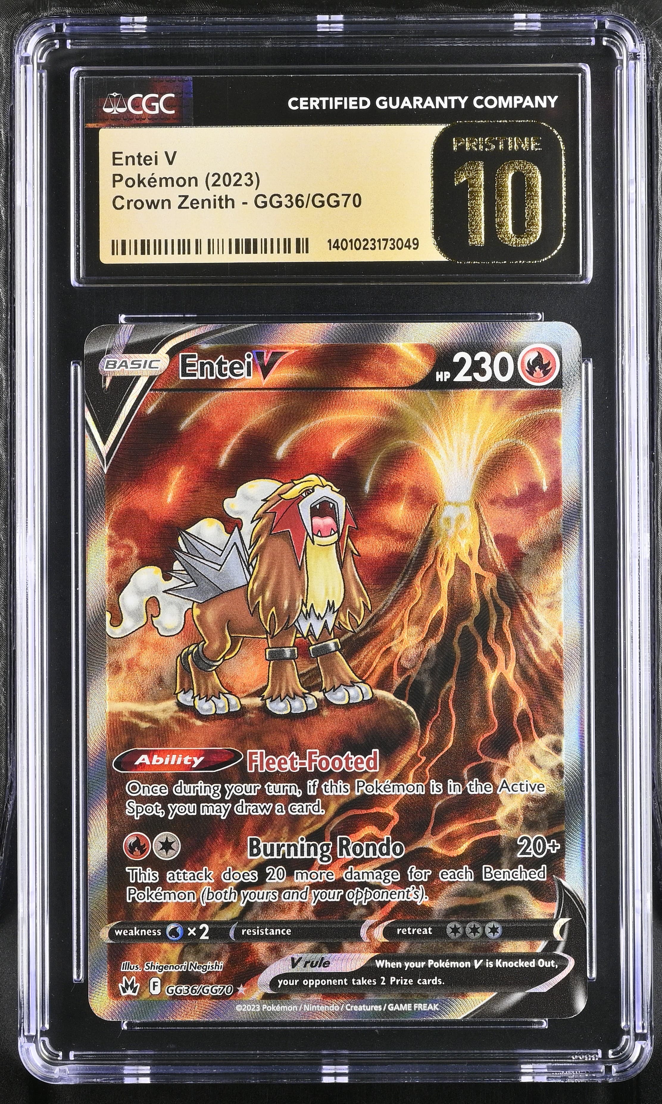 Entei V