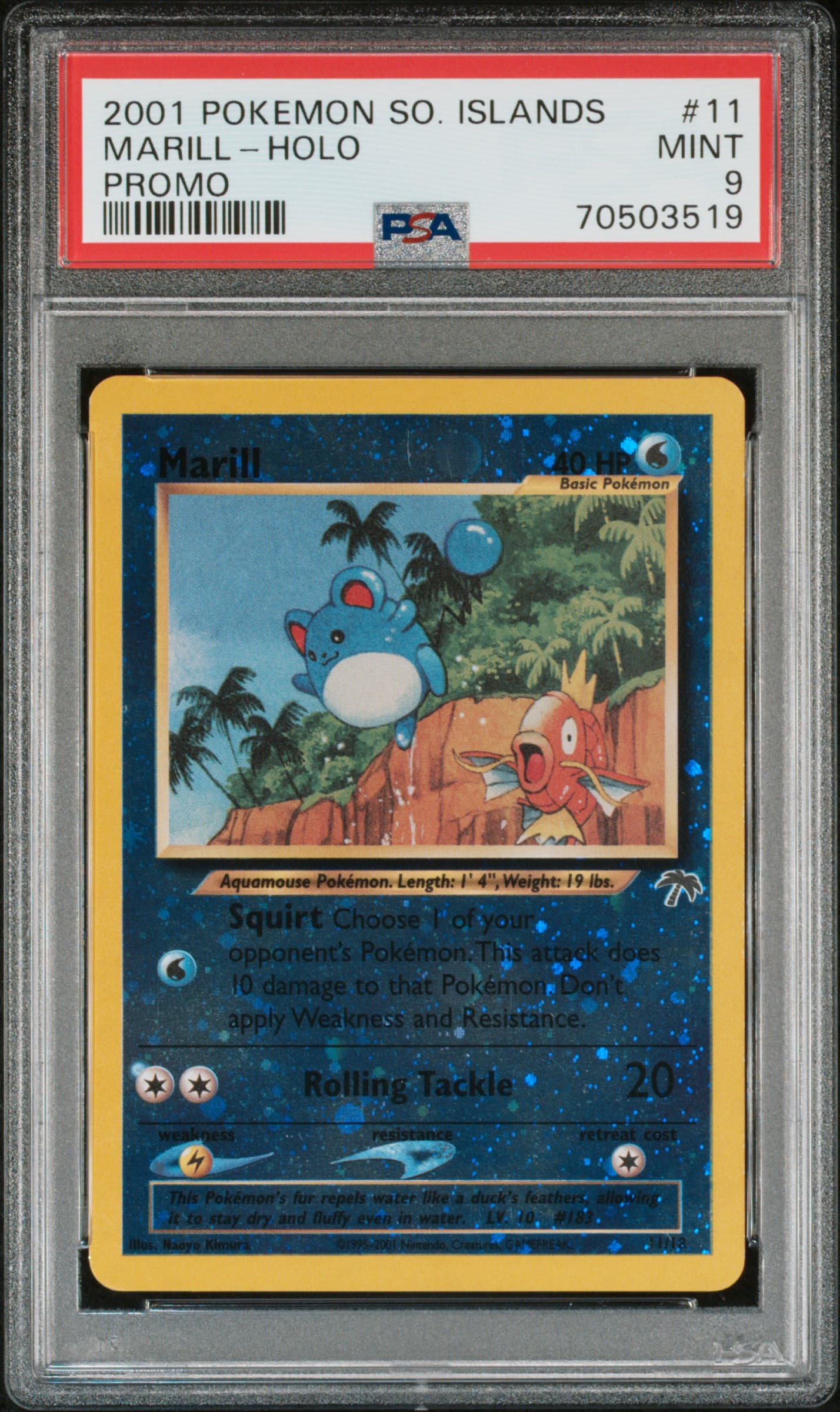Marill-Holo