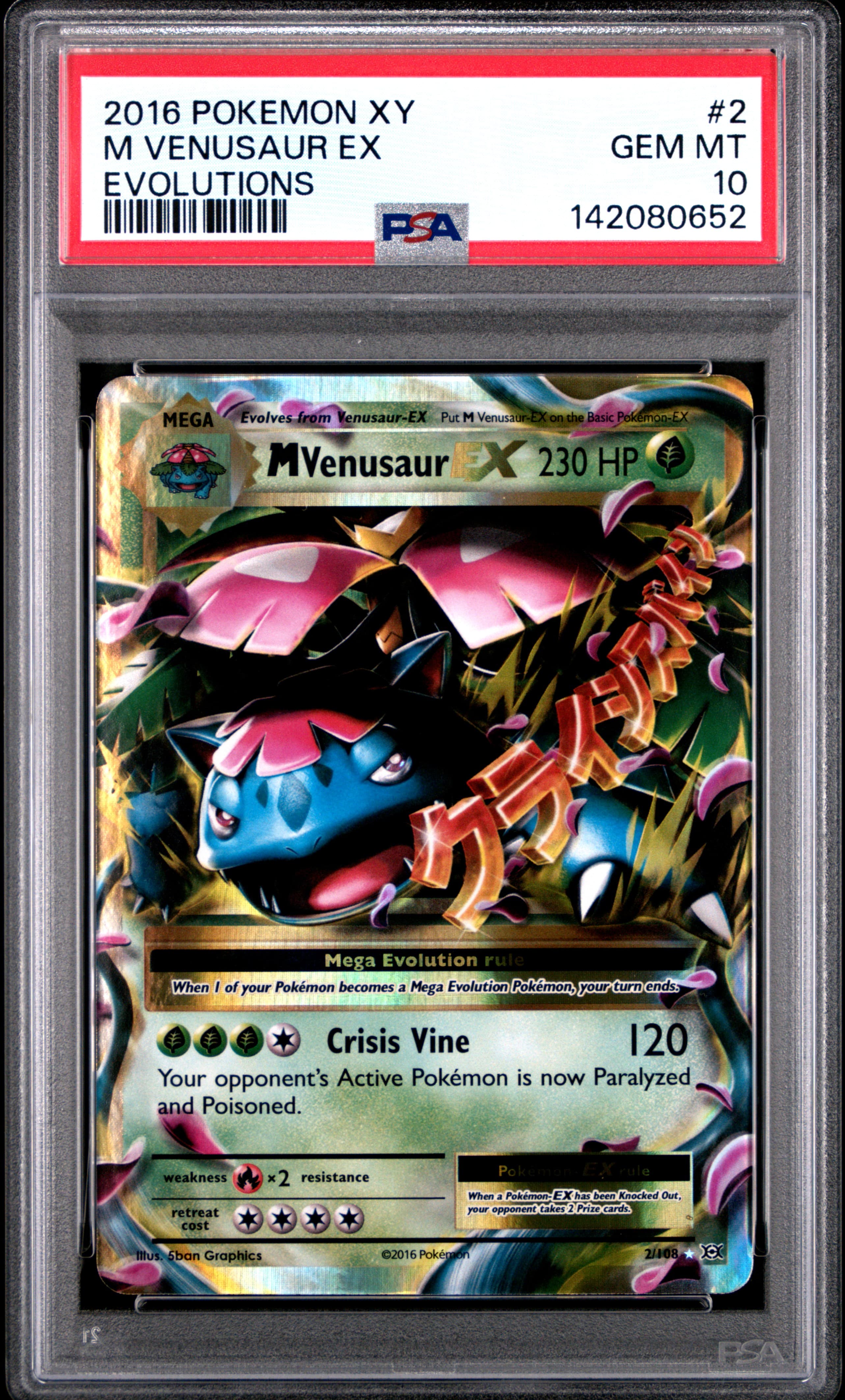 M Venusaur EX