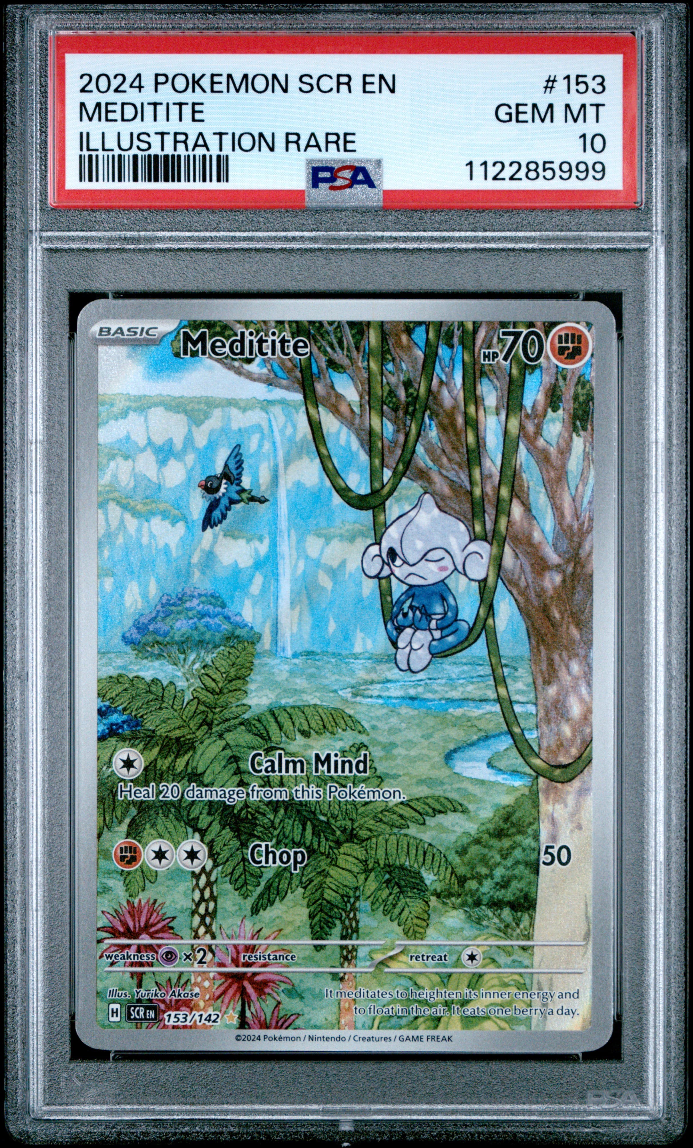 Meditite