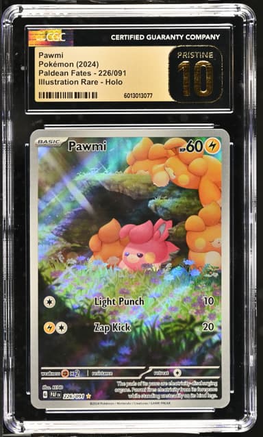 Pawmi