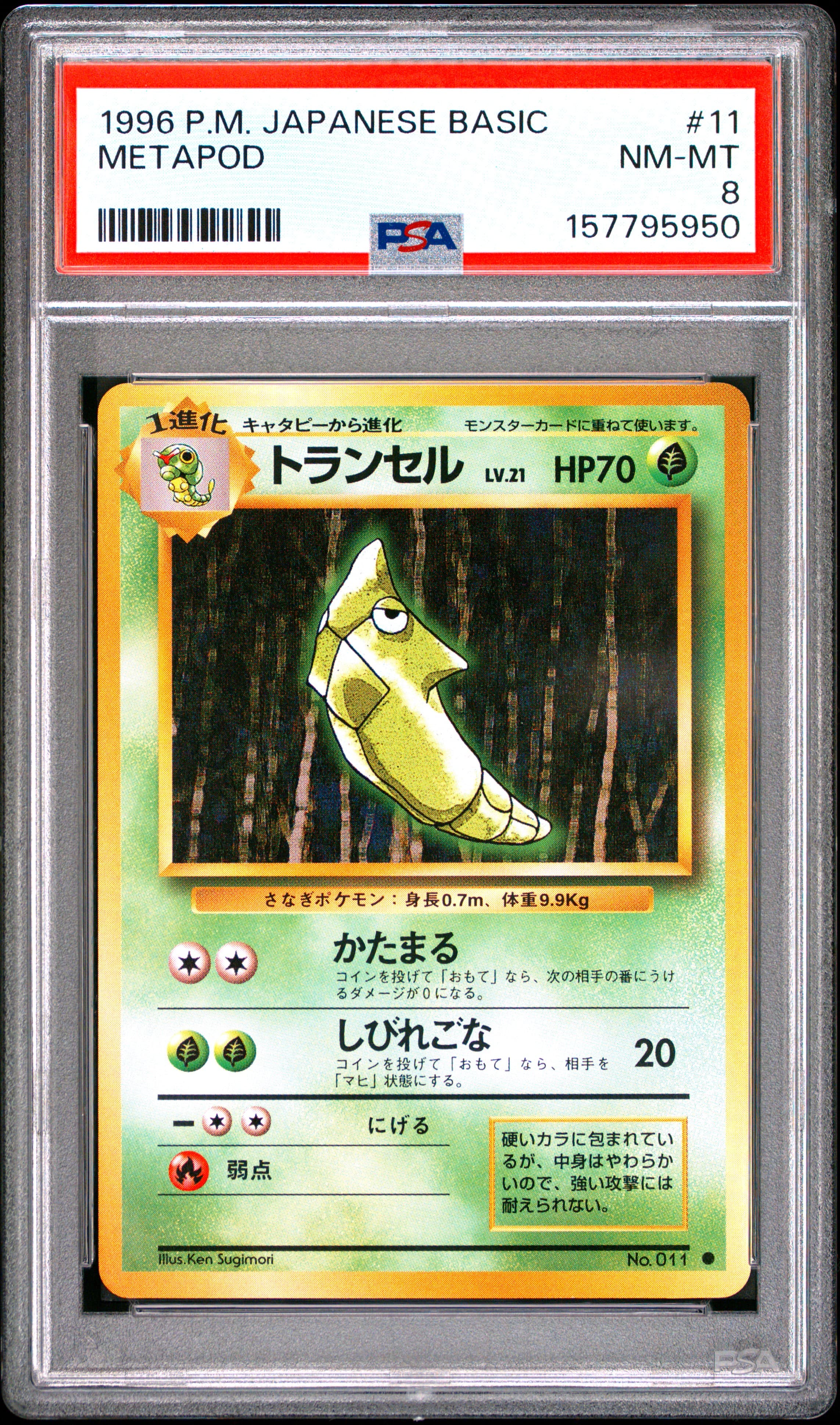 Metapod
