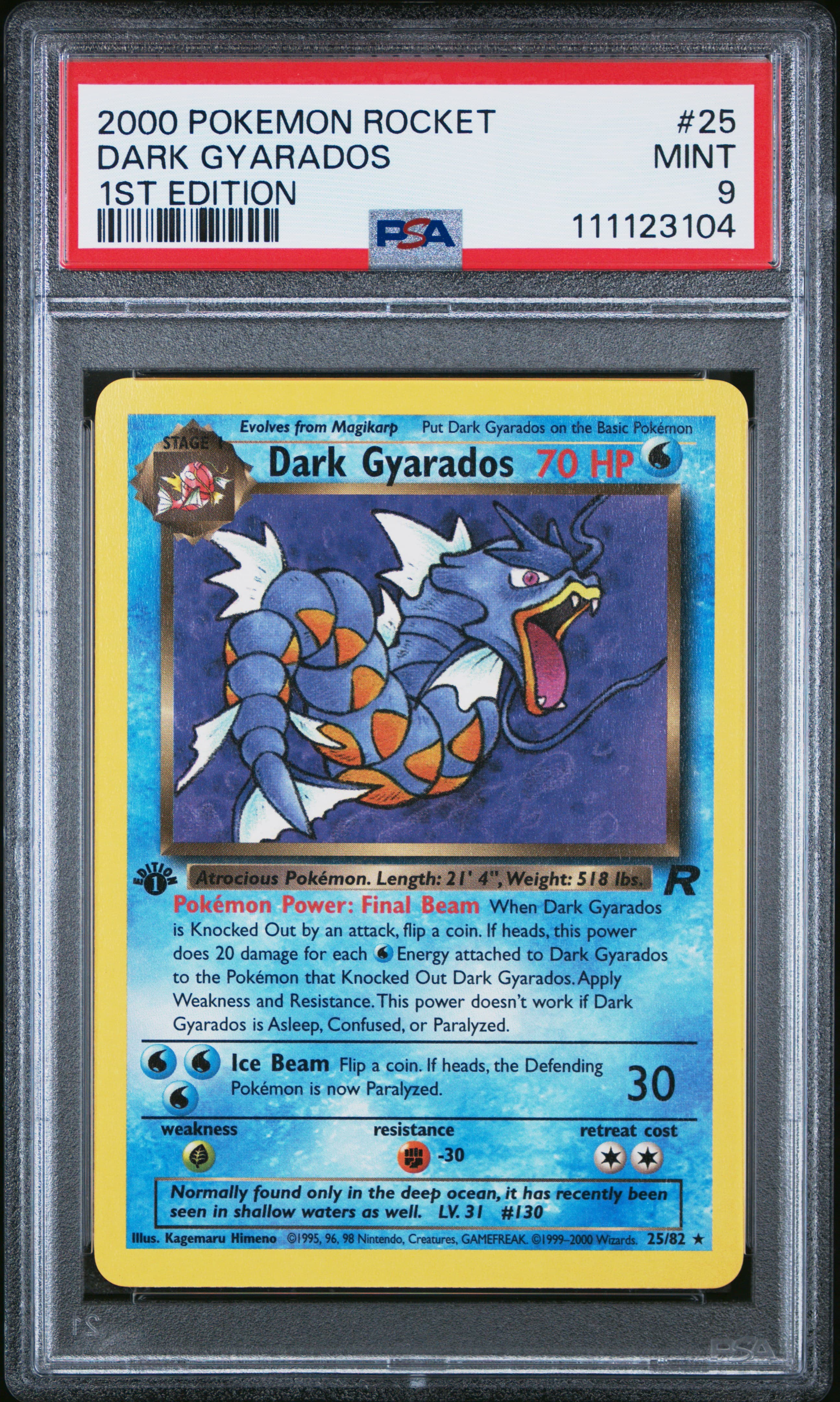 Dark Gyarados 1st Edition
