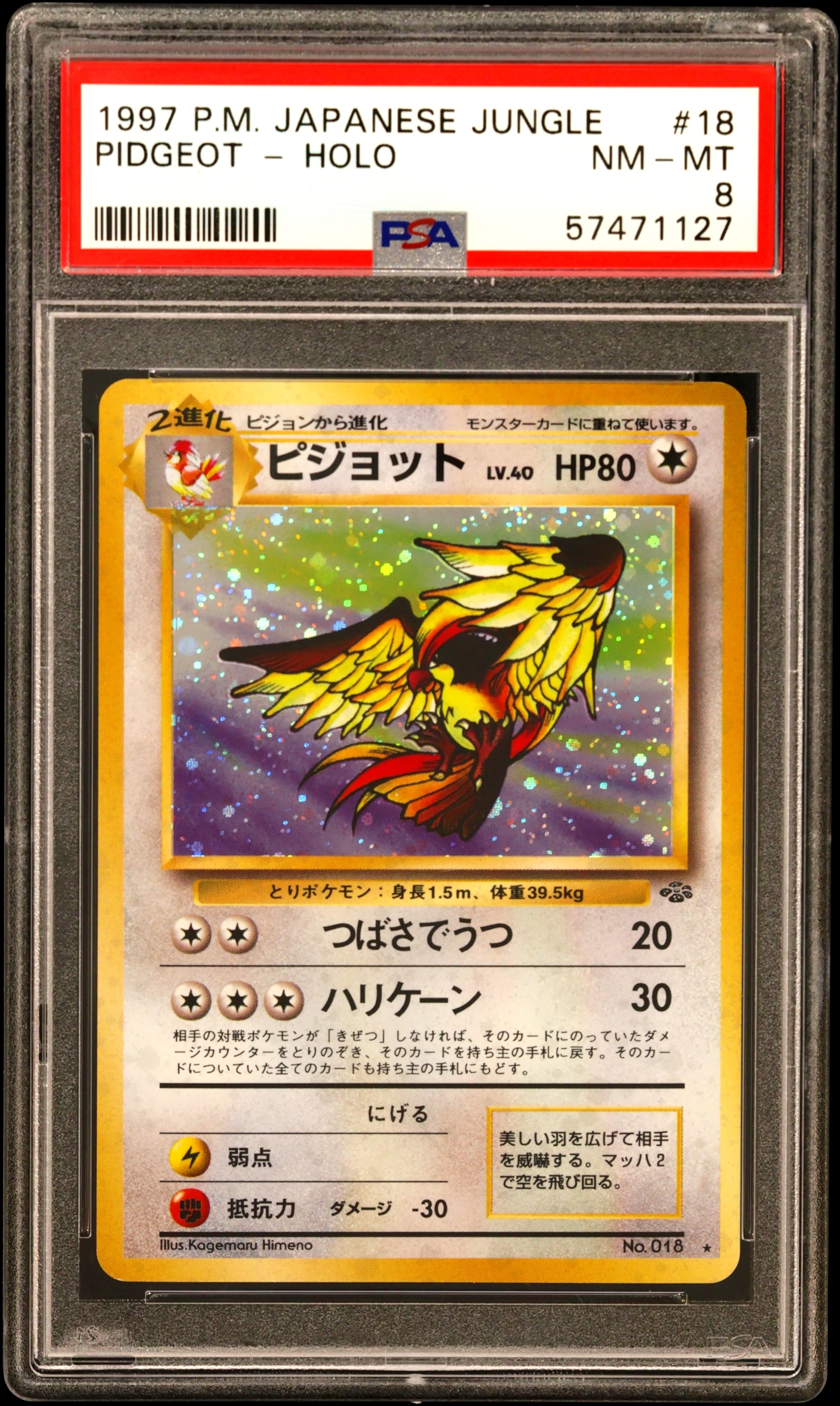 Pidgeot-Holo
