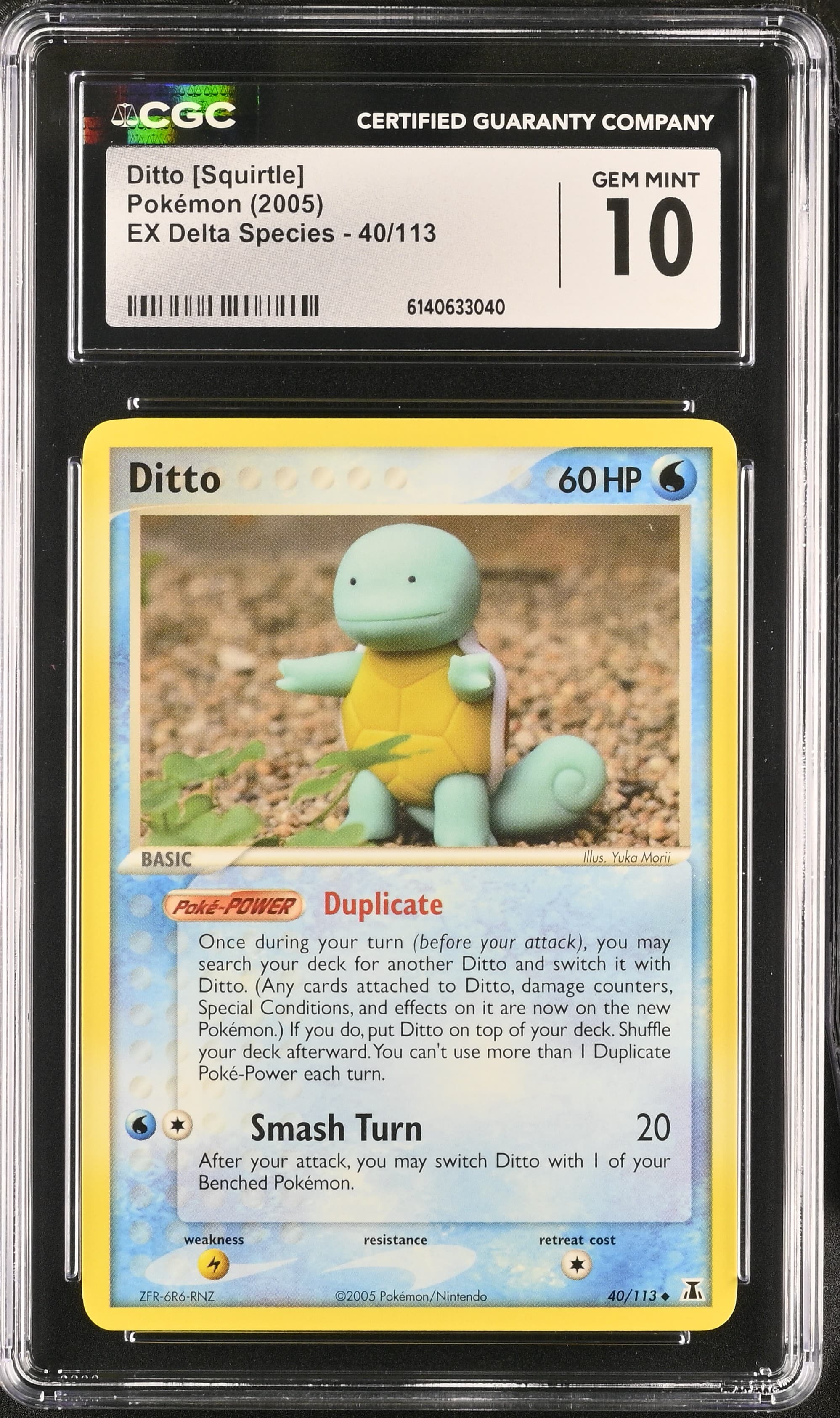 Ditto [Squirtle]