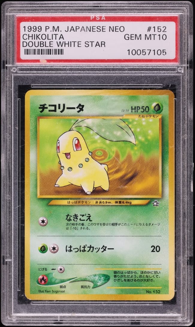 Chikorita