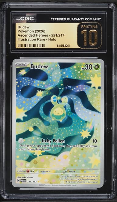 Budew