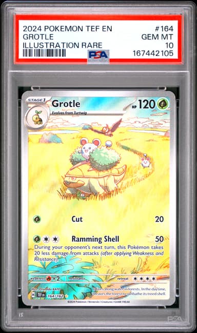 Grotle