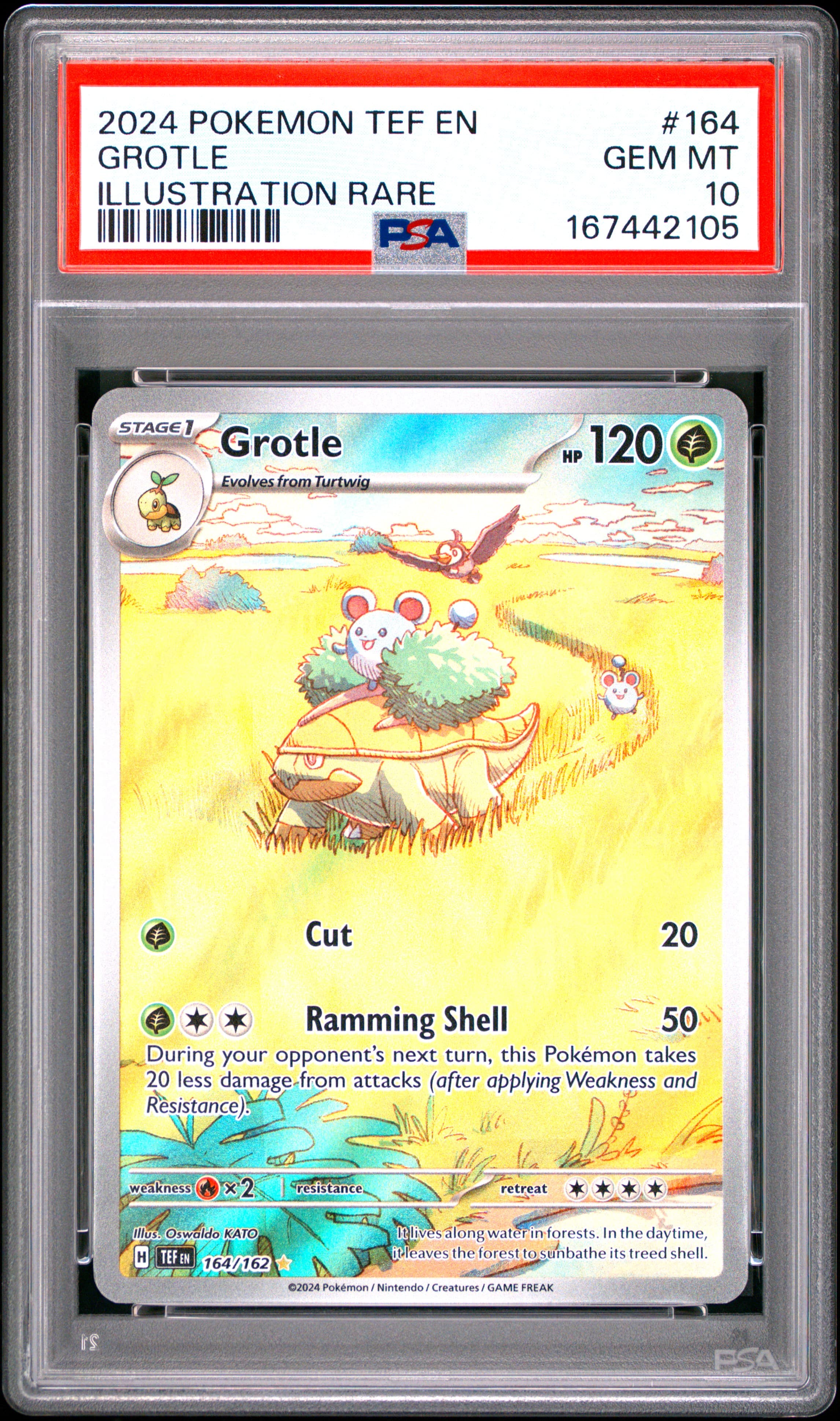 Grotle