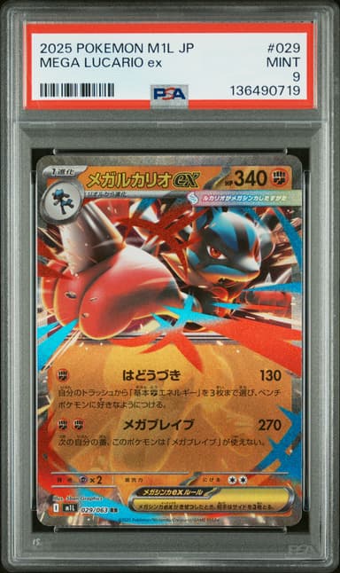 Mega Lucario EX