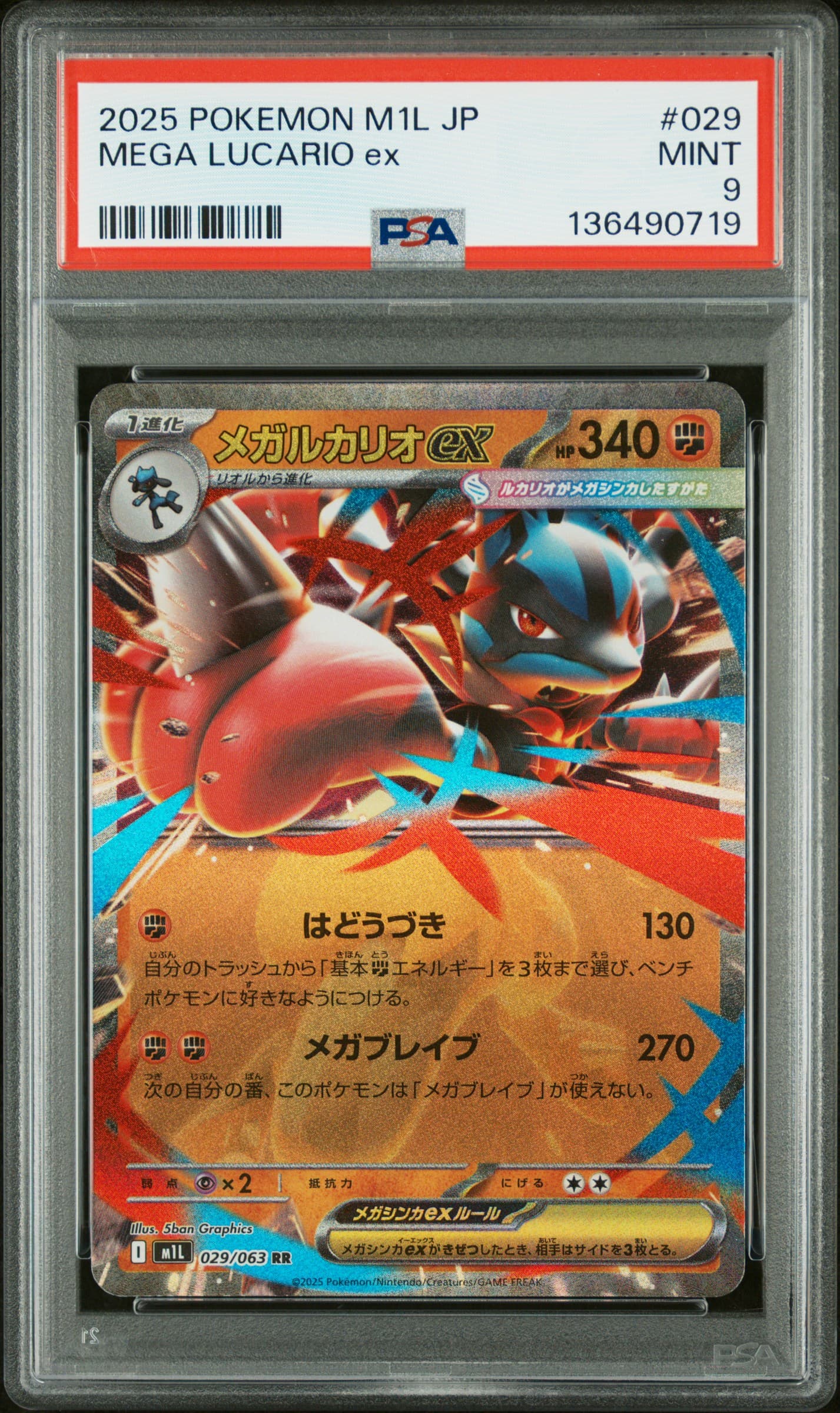 Mega Lucario EX