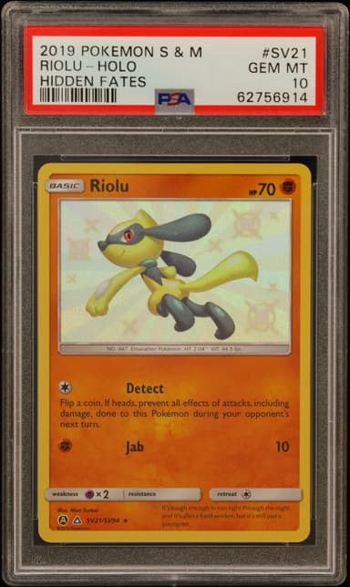 Riolu-Holo