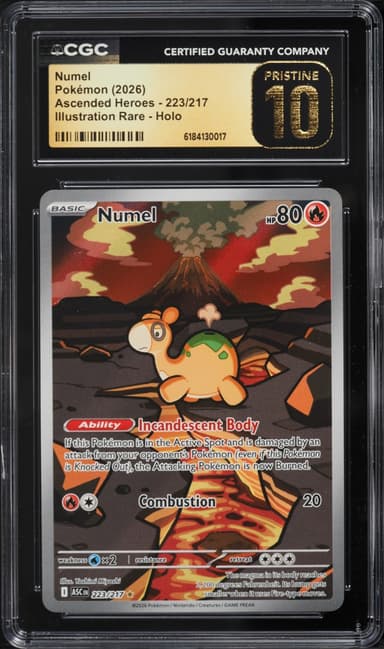 Numel