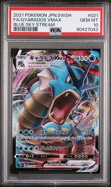 Full Art/Gyarados Vmax