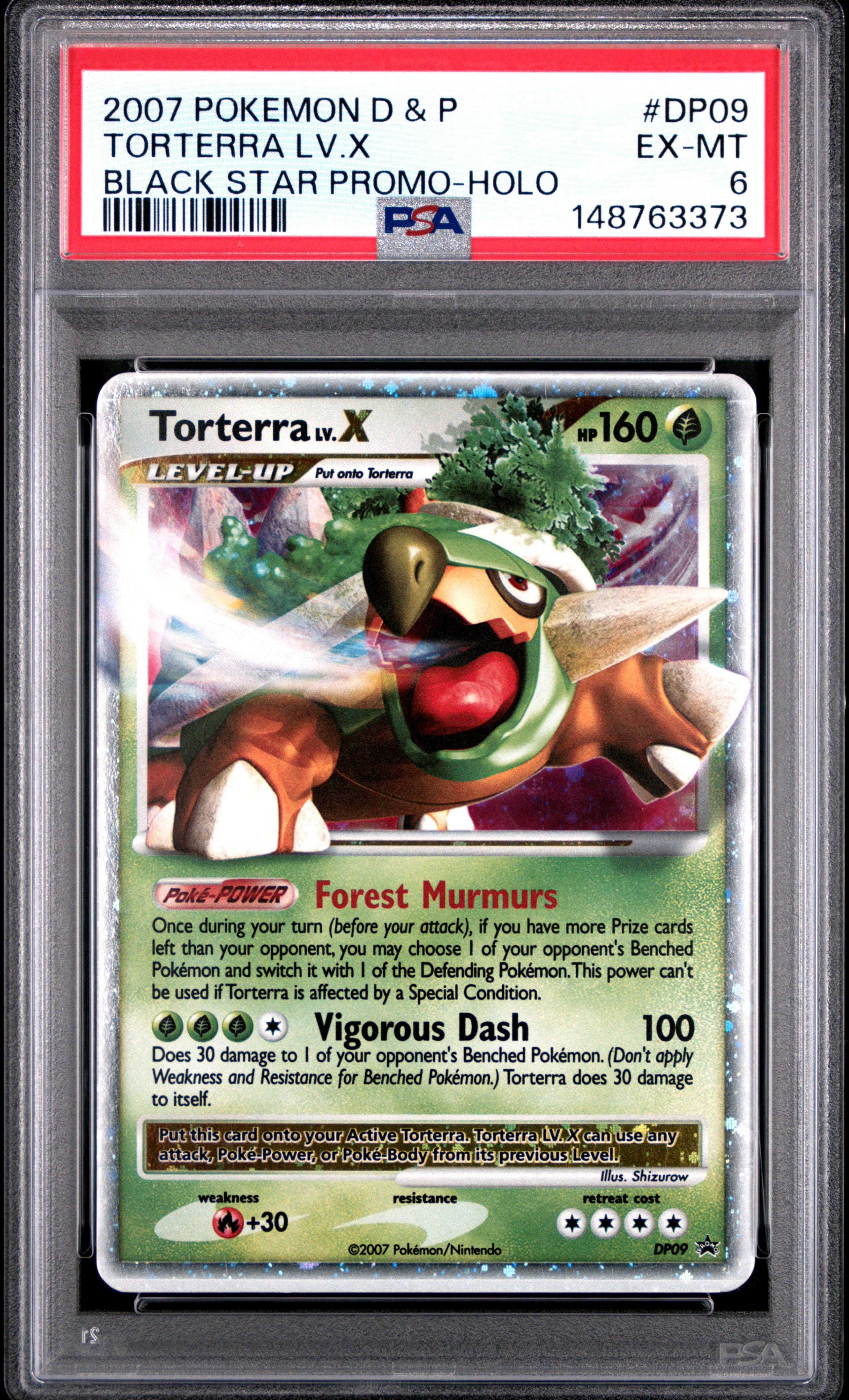 Torterra LV.X