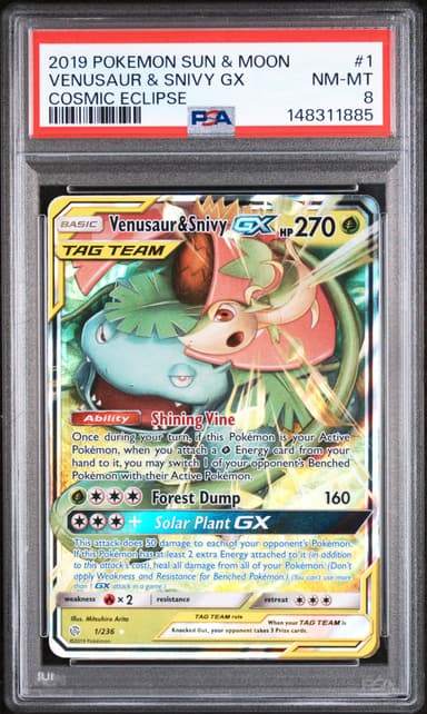 Venusaur & Snivy GX
