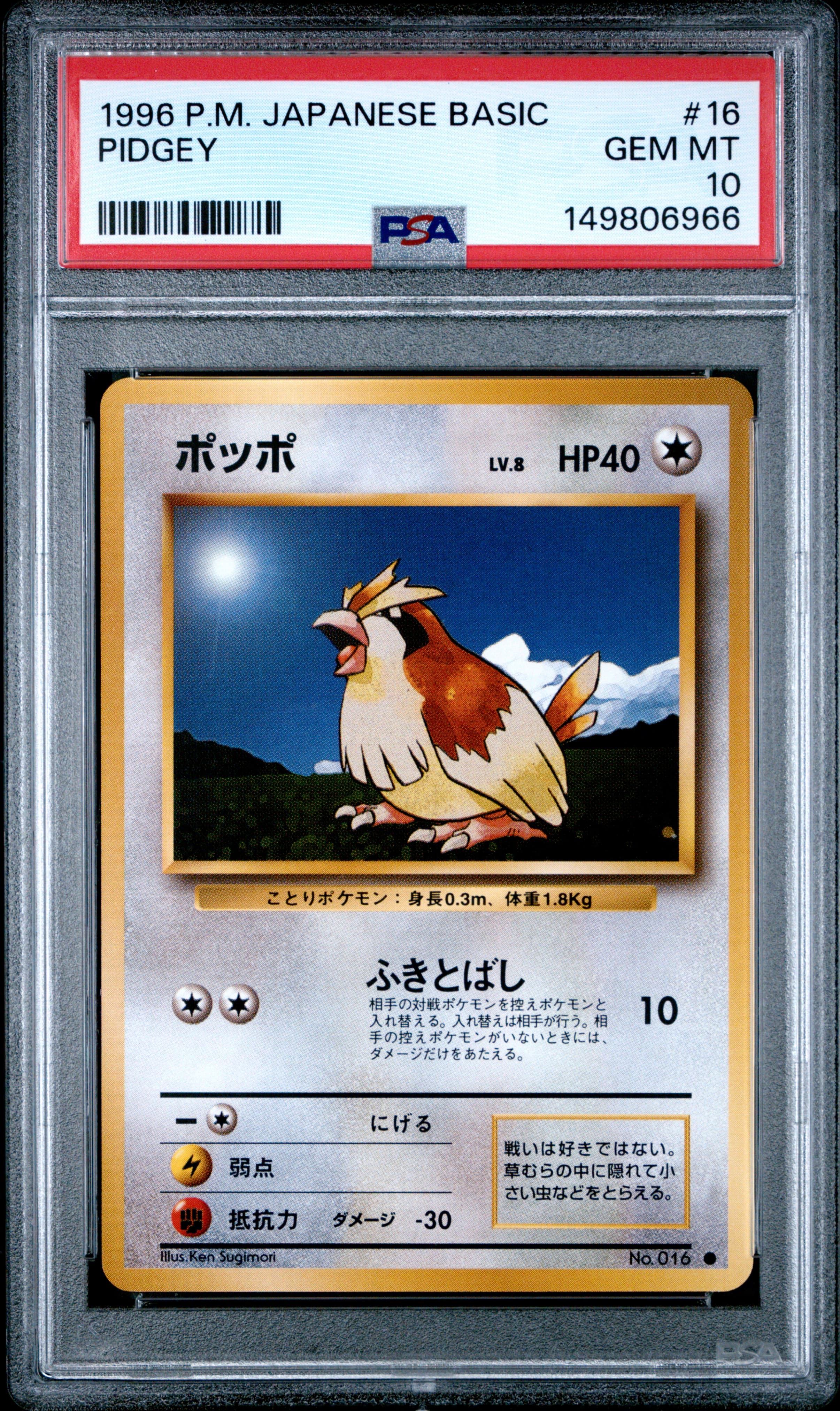 Pidgey