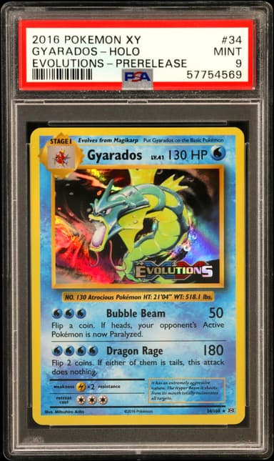 Gyarados-Holo