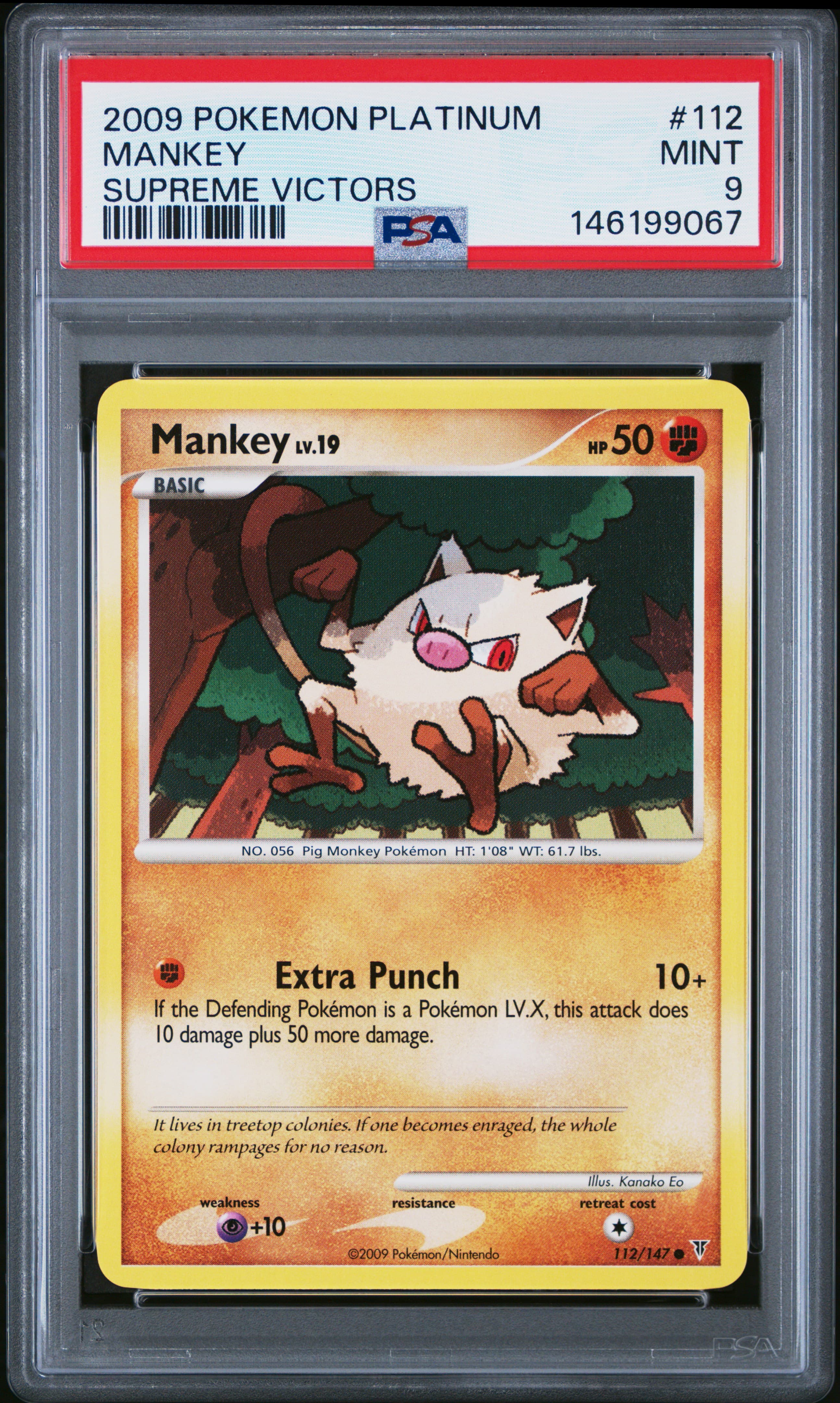 Mankey