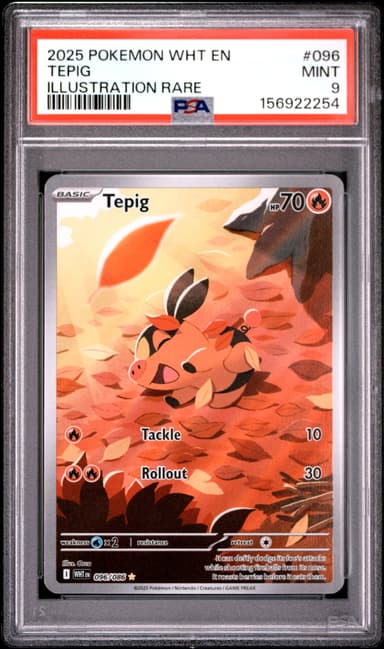 Tepig