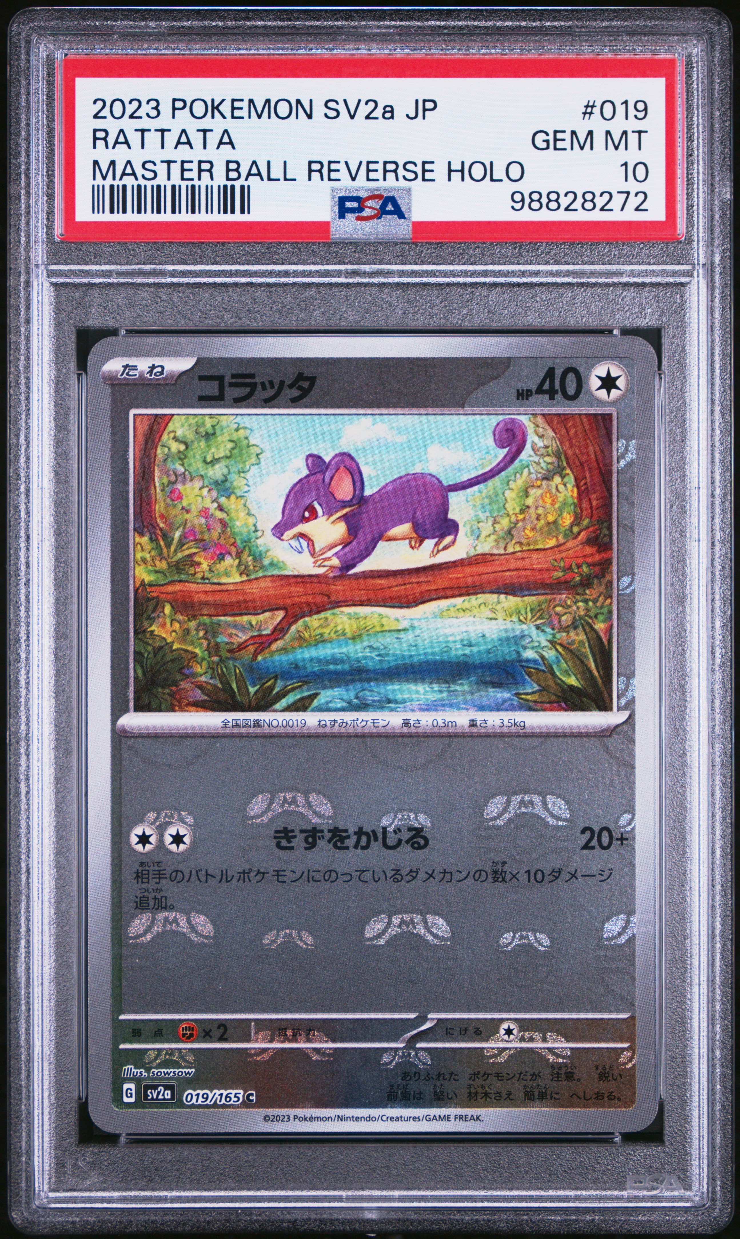 Rattata Master Ball Reverse Holo