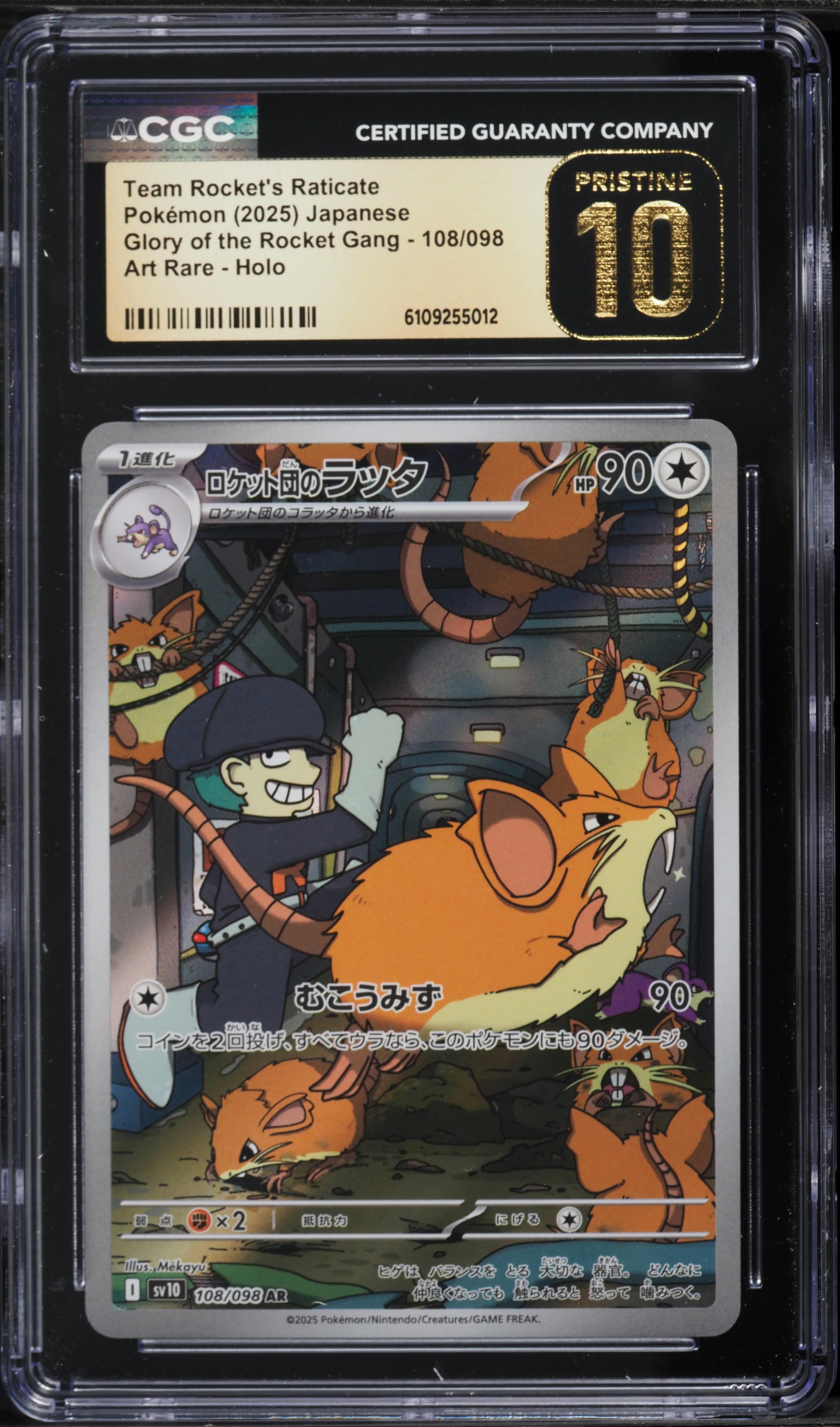 Team Rocket's Raticate