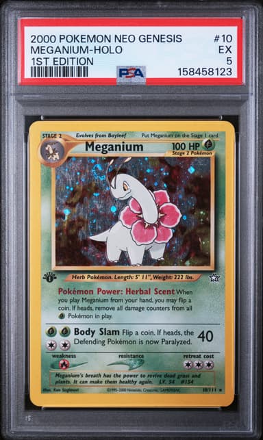 Meganium-Holo