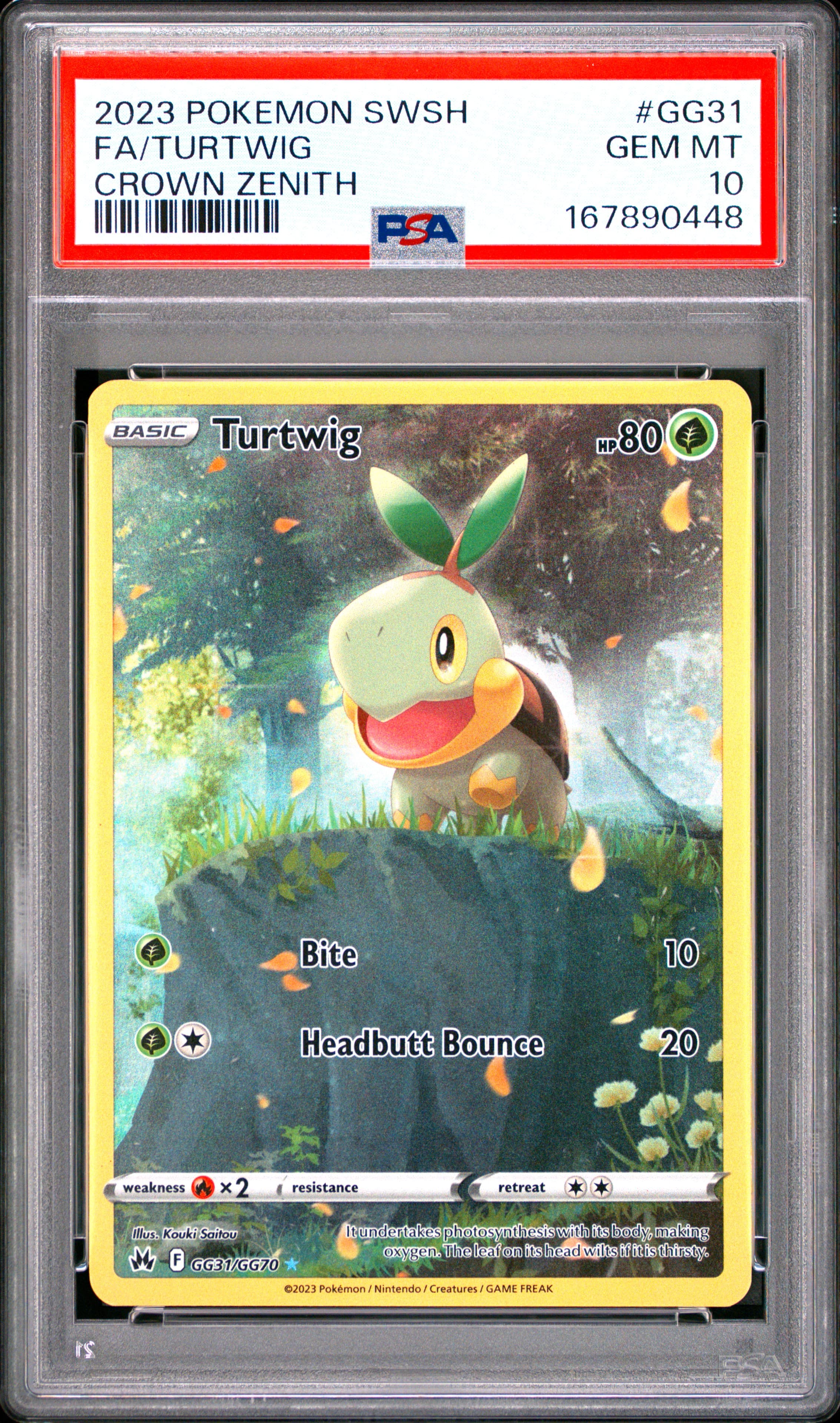 Full Art/Turtwig