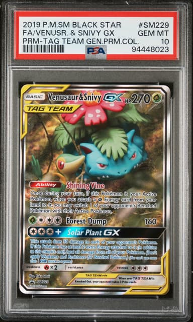 Full Art/Venusaur & Snivy GX