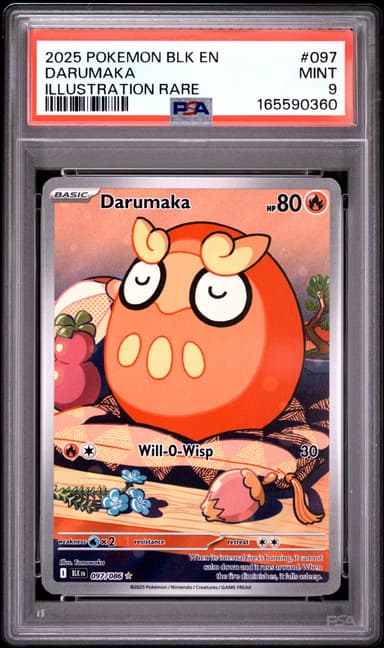 Darumaka