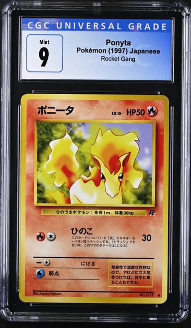 Ponyta