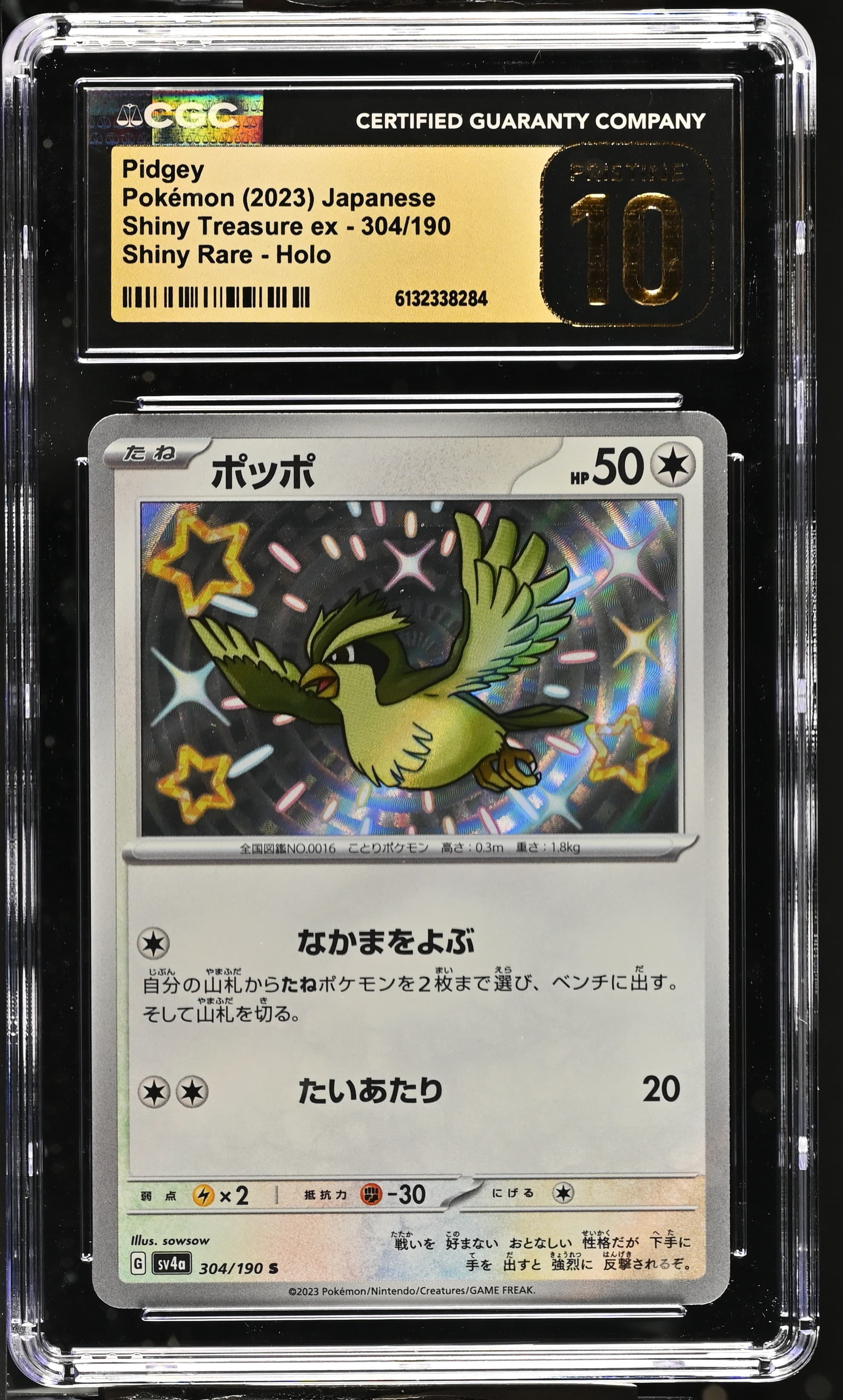 Pidgey