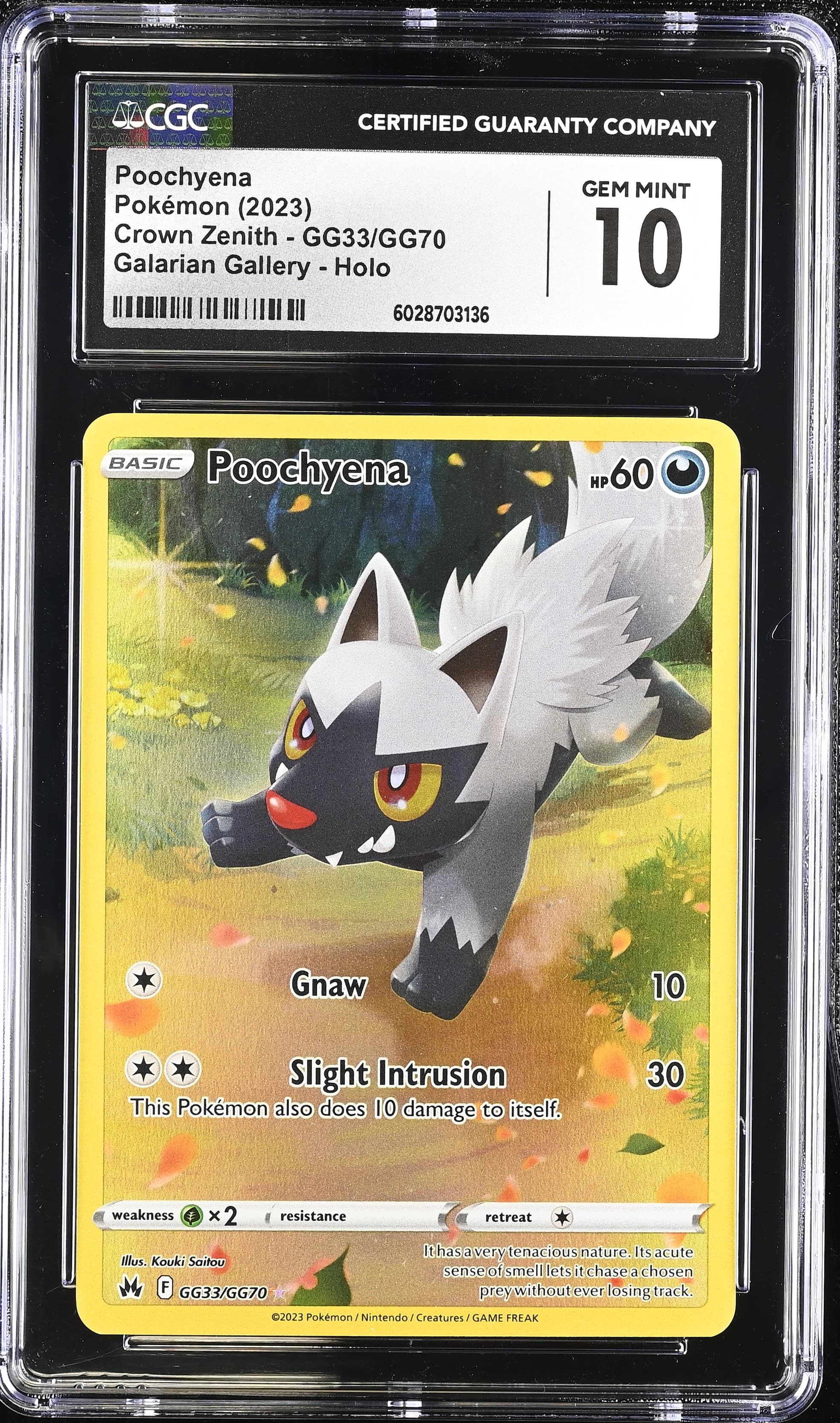 Poochyena