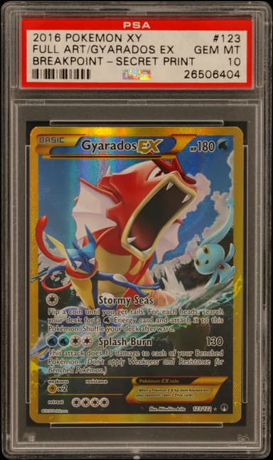 Full Art/Gyarados EX