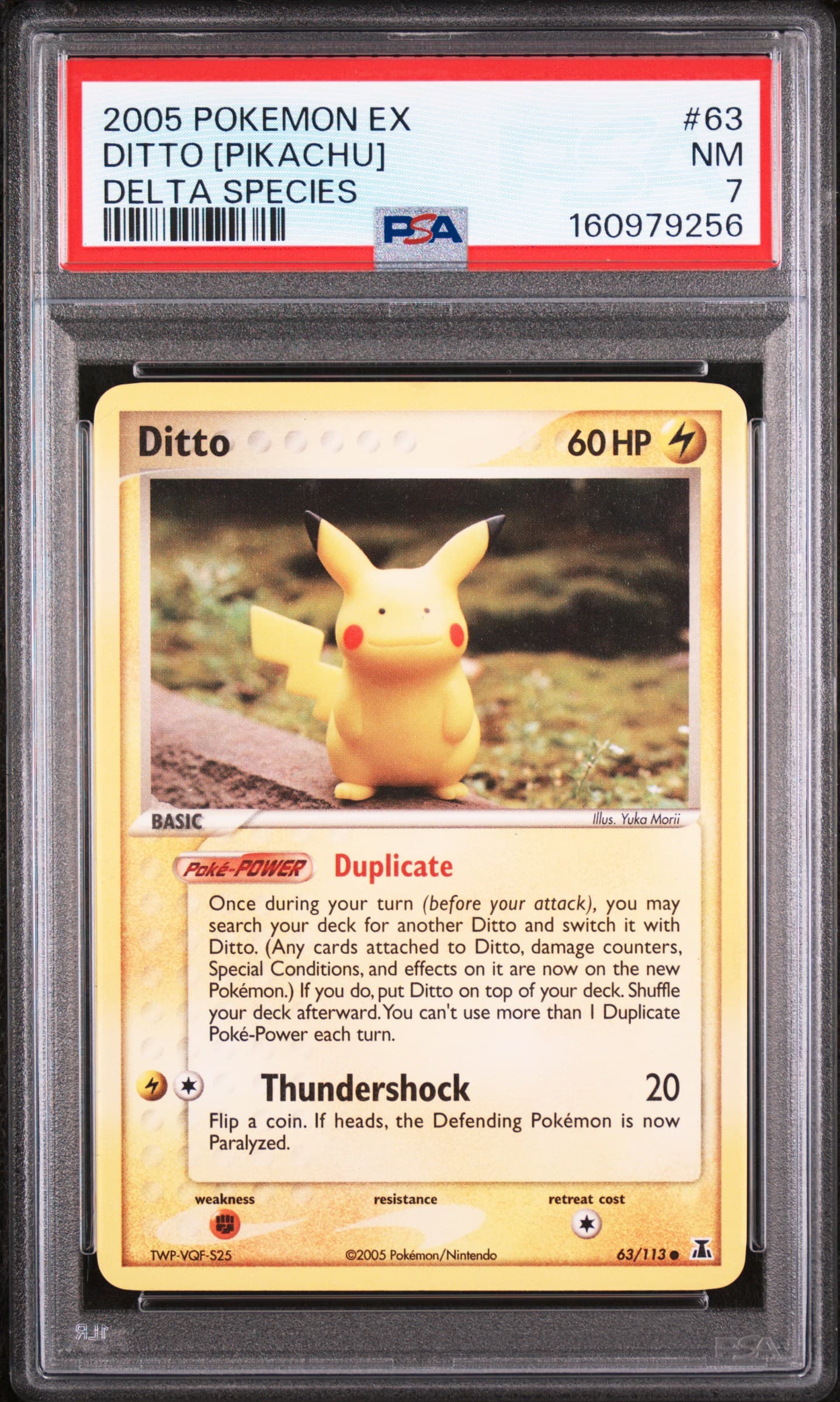 Ditto [Pikachu]