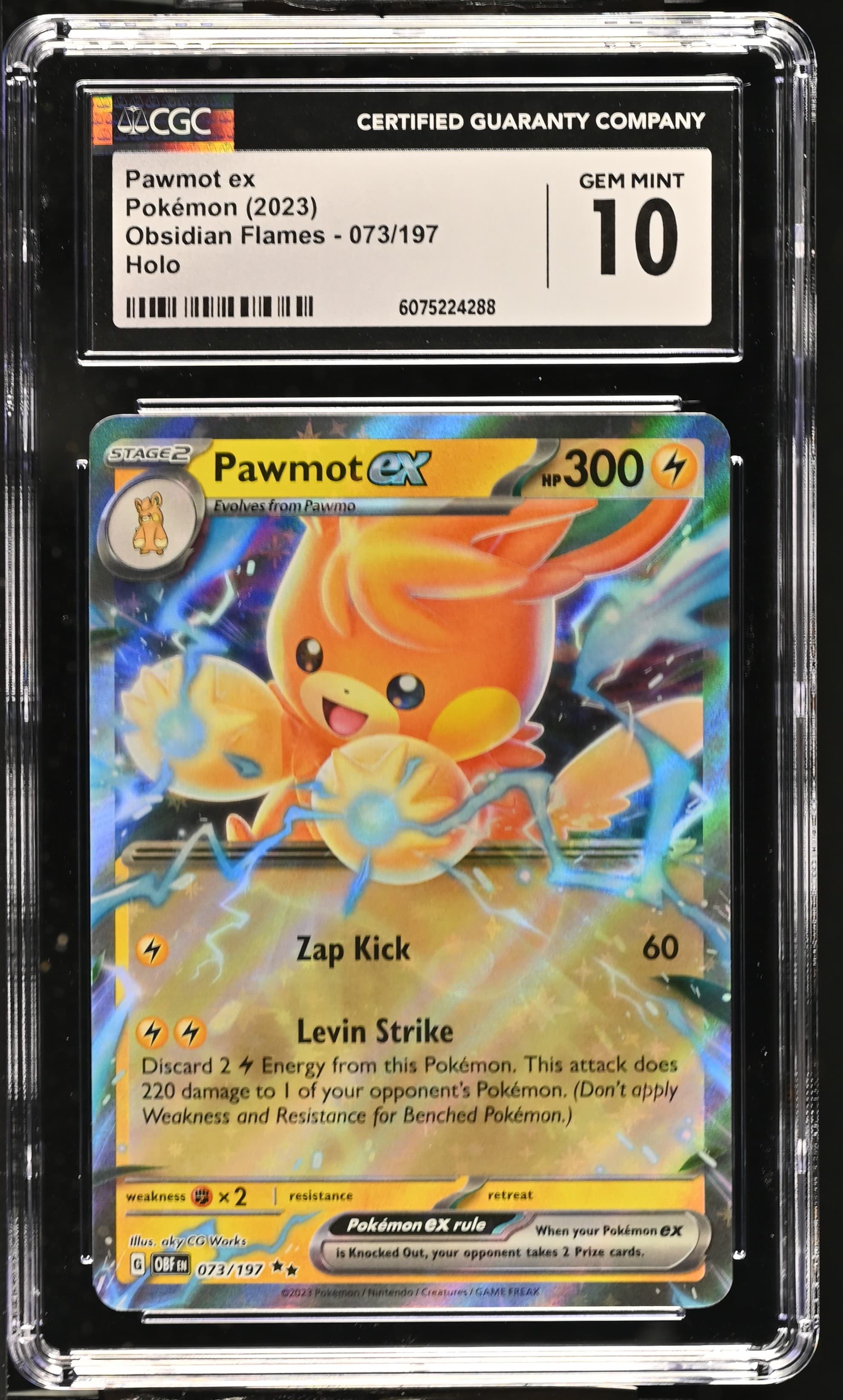 Pawmot ex