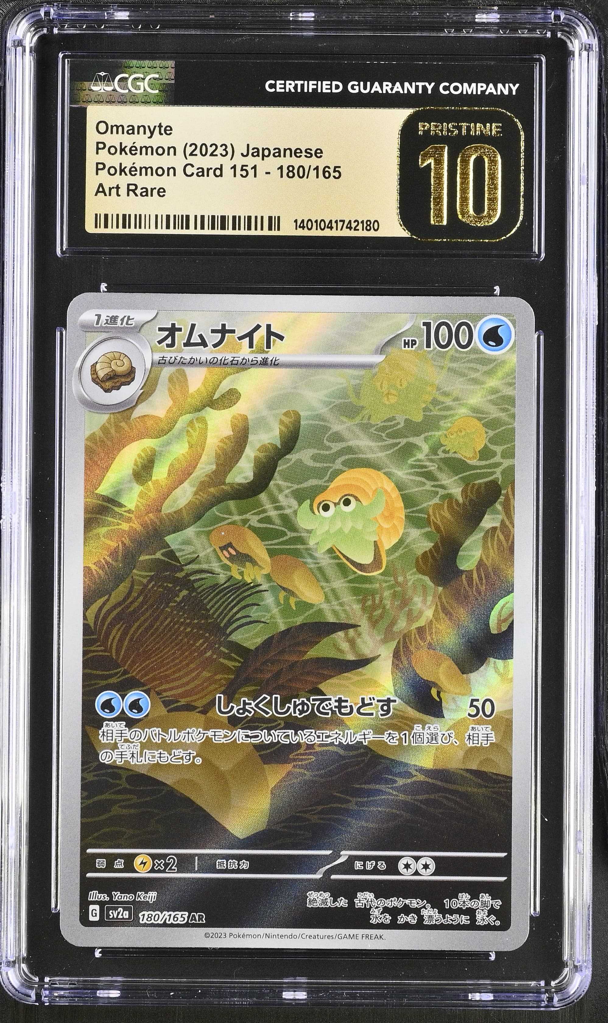 Omanyte