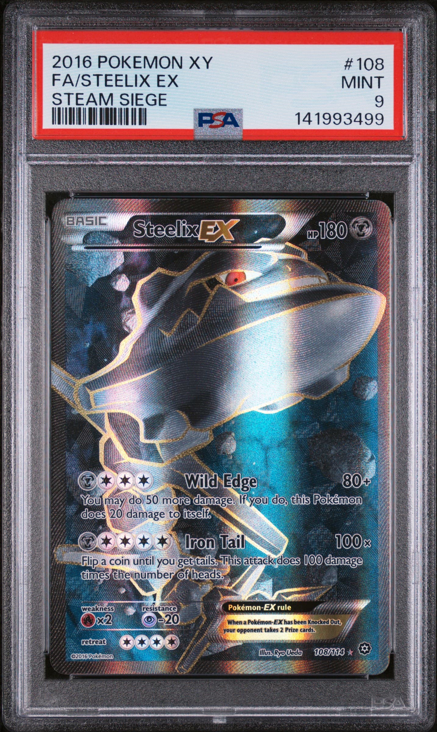 Full Art/Steelix EX
