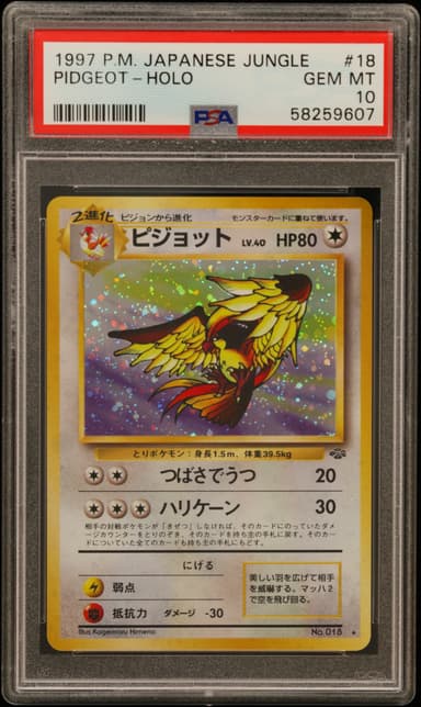 Pidgeot-Holo