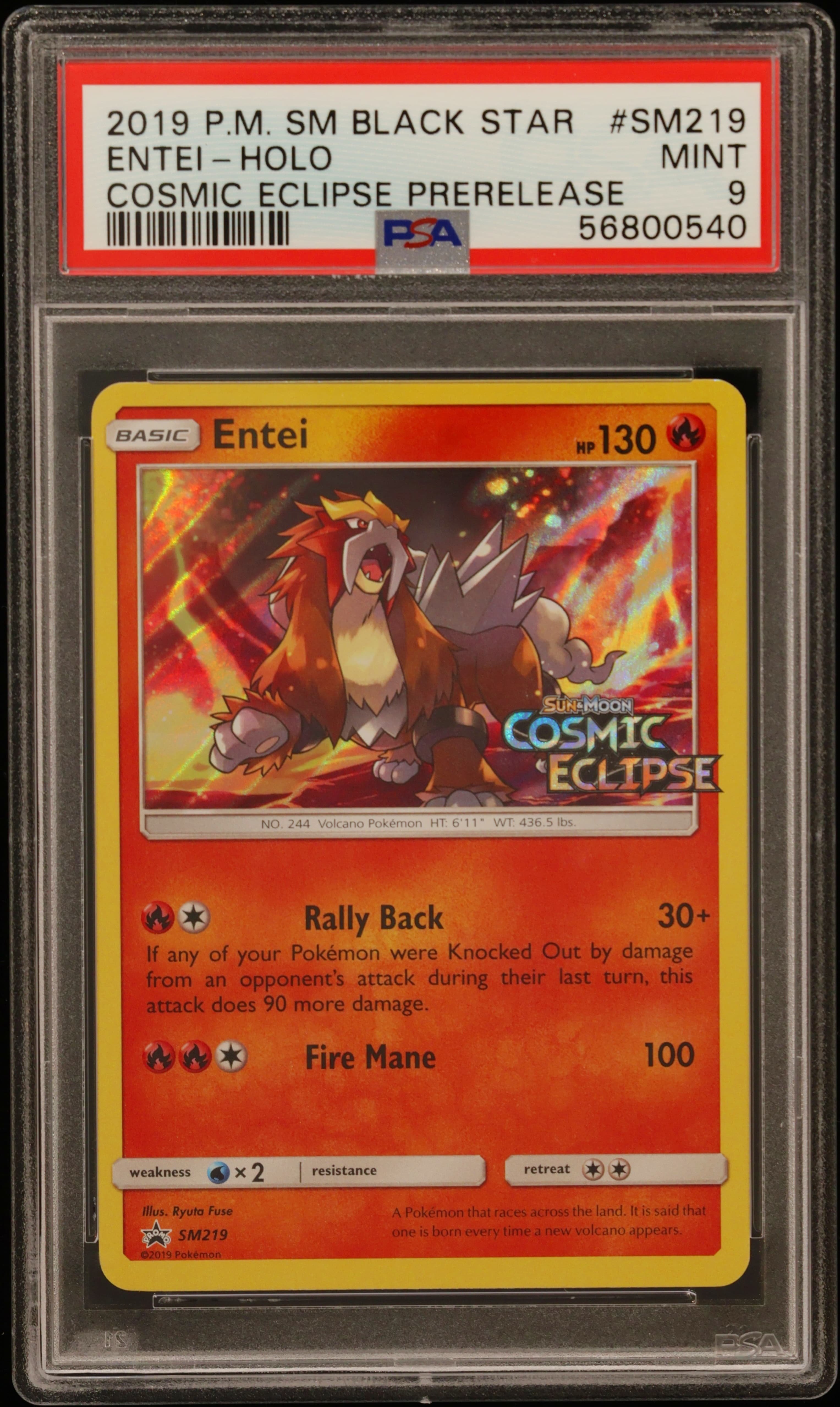 Entei-Holo