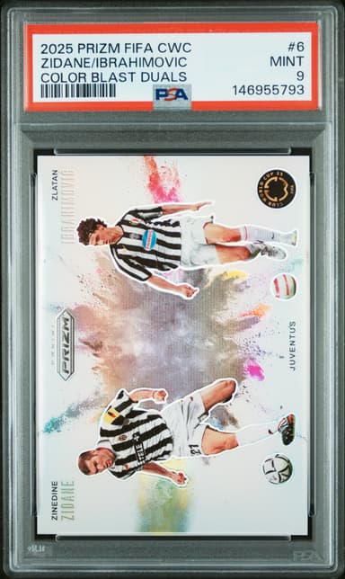 Zinedine Zidane/Zlatan Ibrahimovic