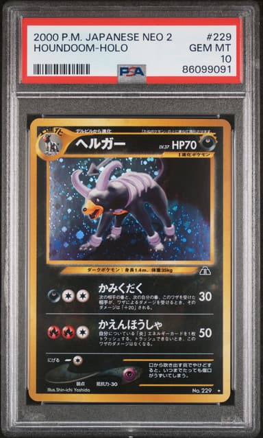 Houndoom-Holo