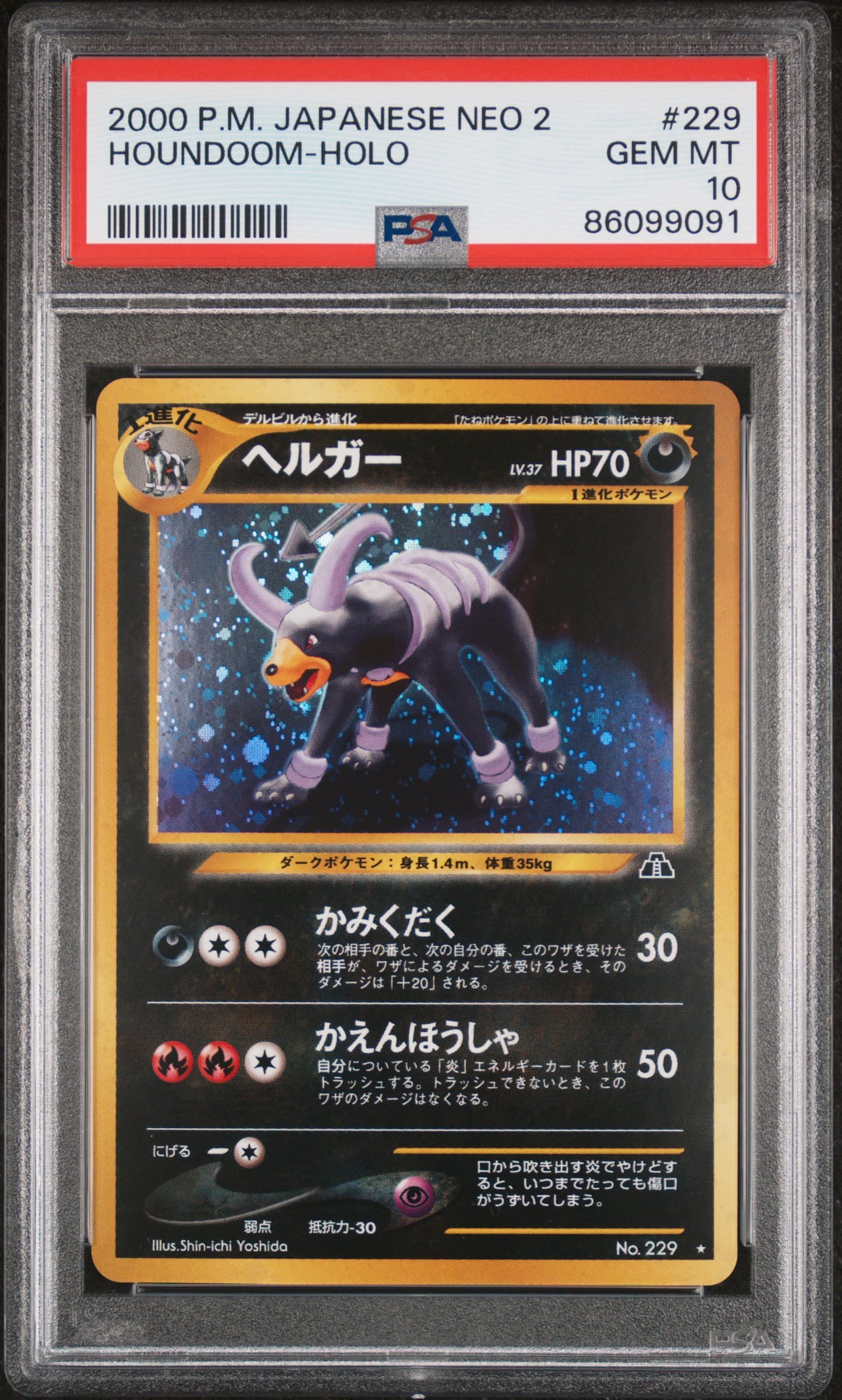 Houndoom-Holo