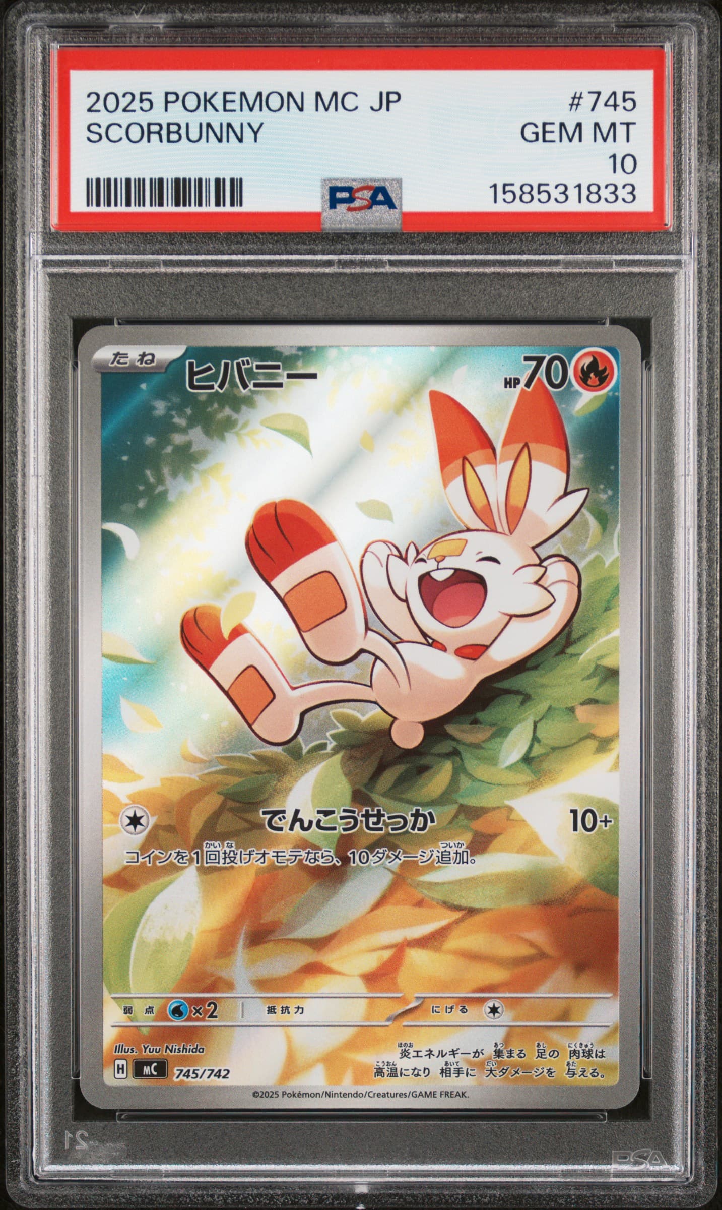 SCORBUNNY