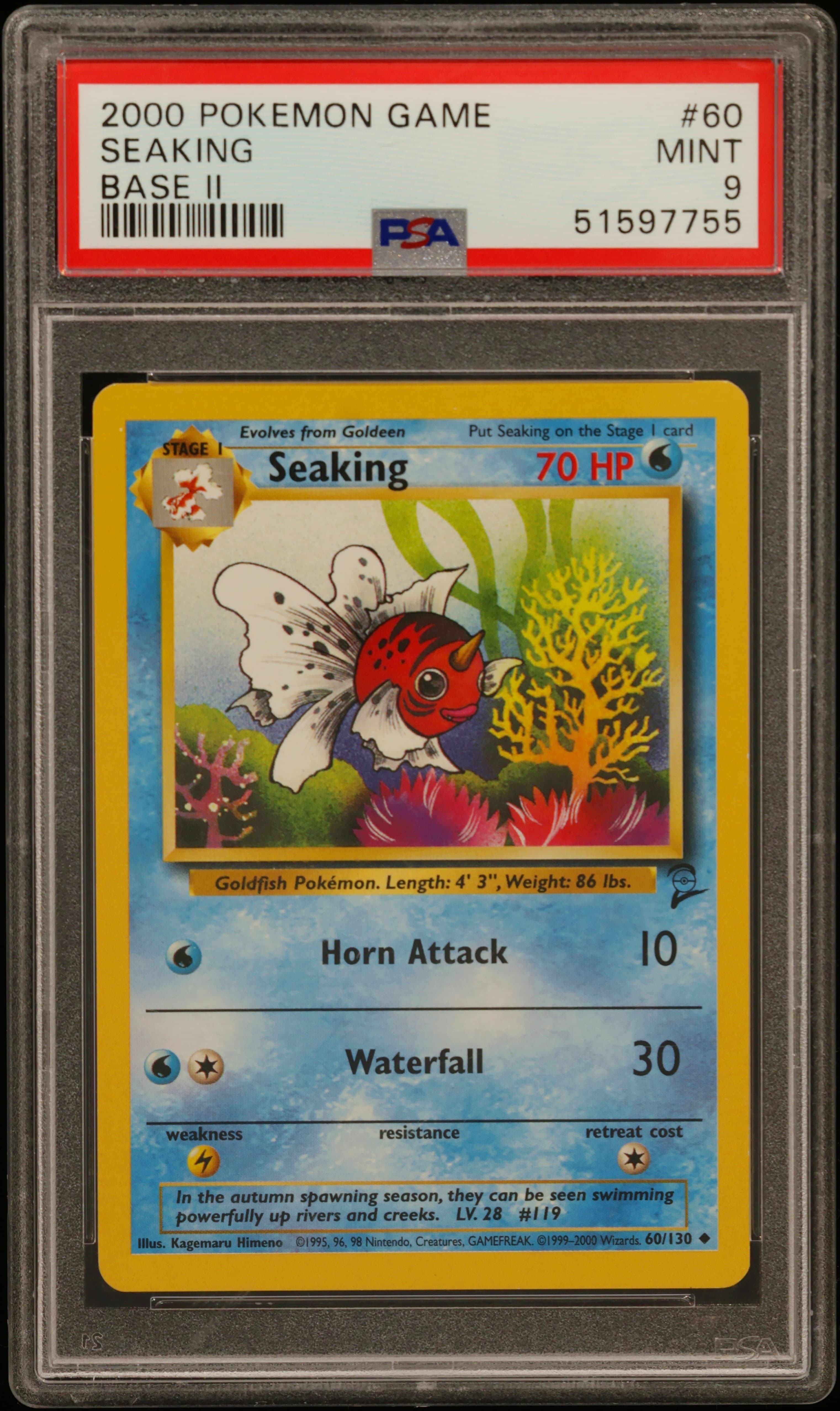 Seaking