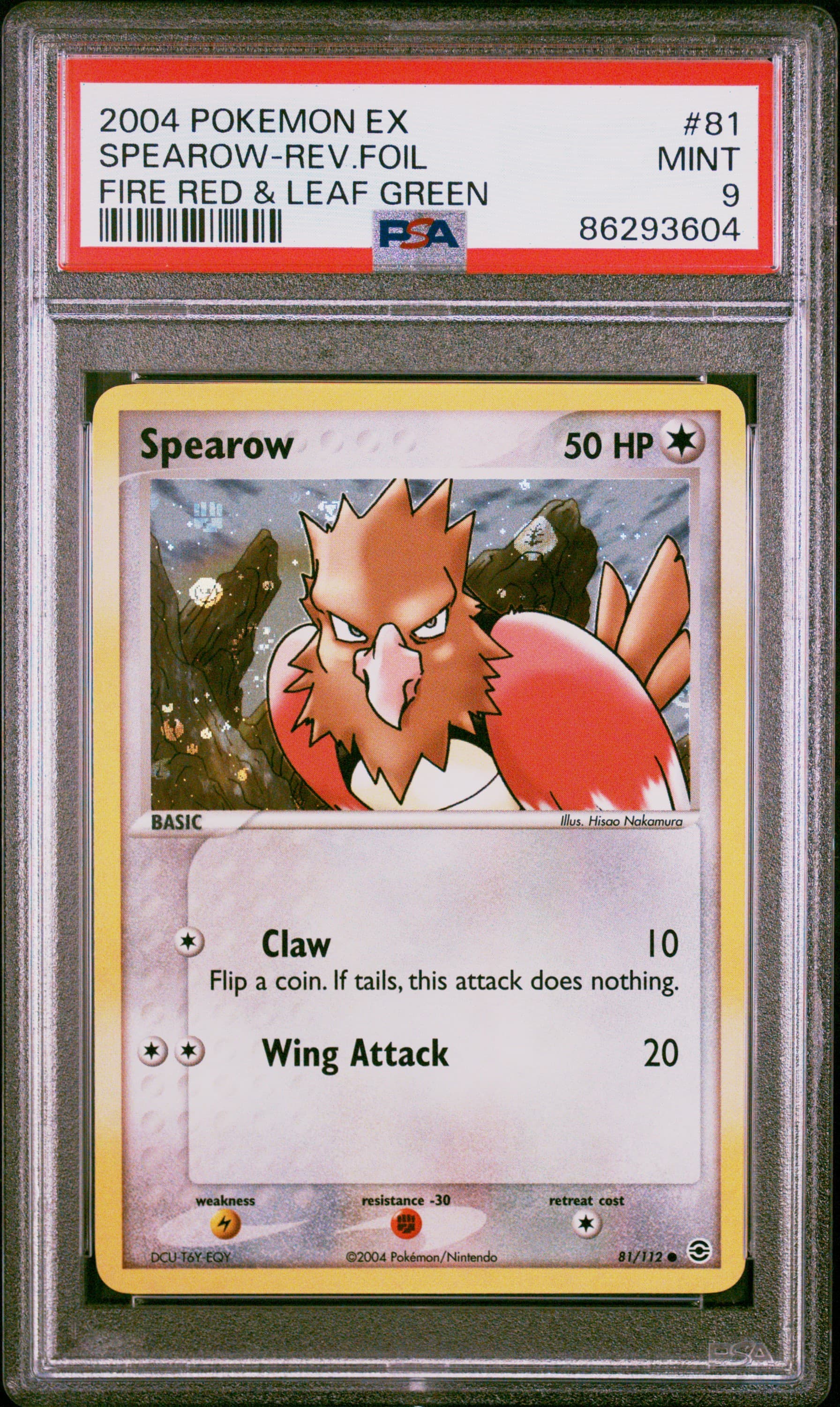 SPEAROW-REV.FOIL