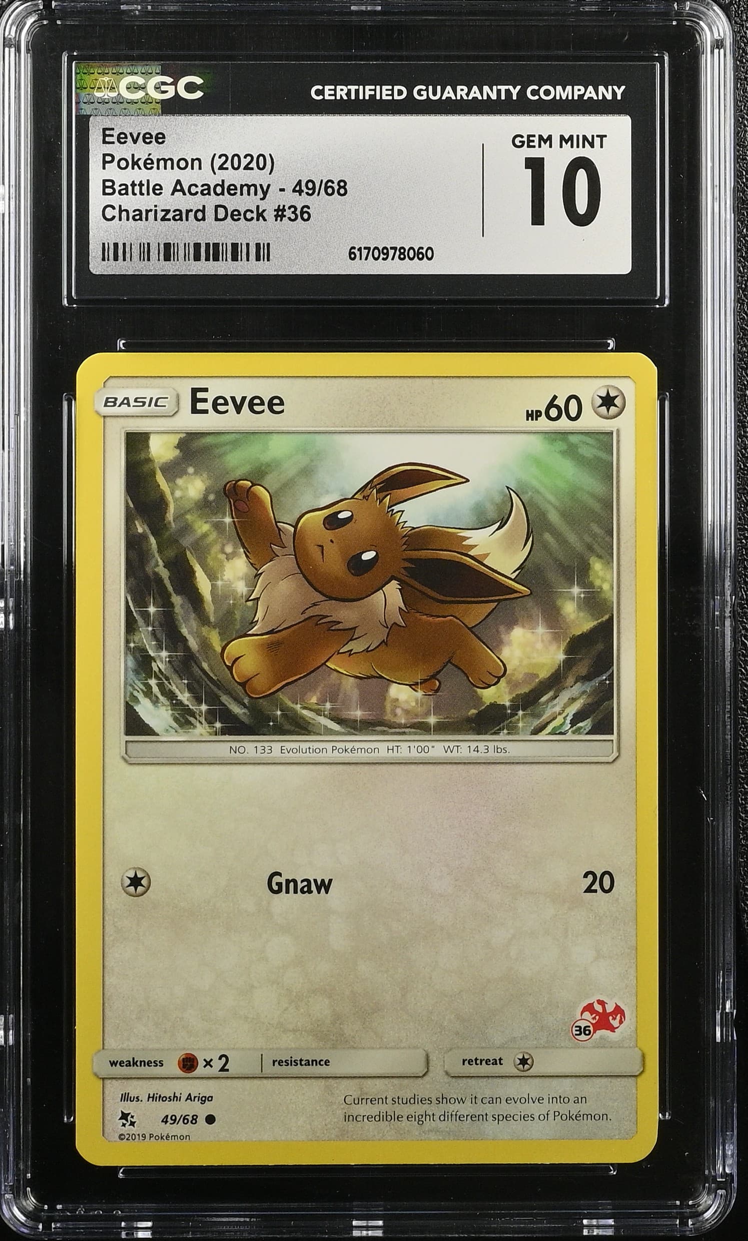 Eevee
