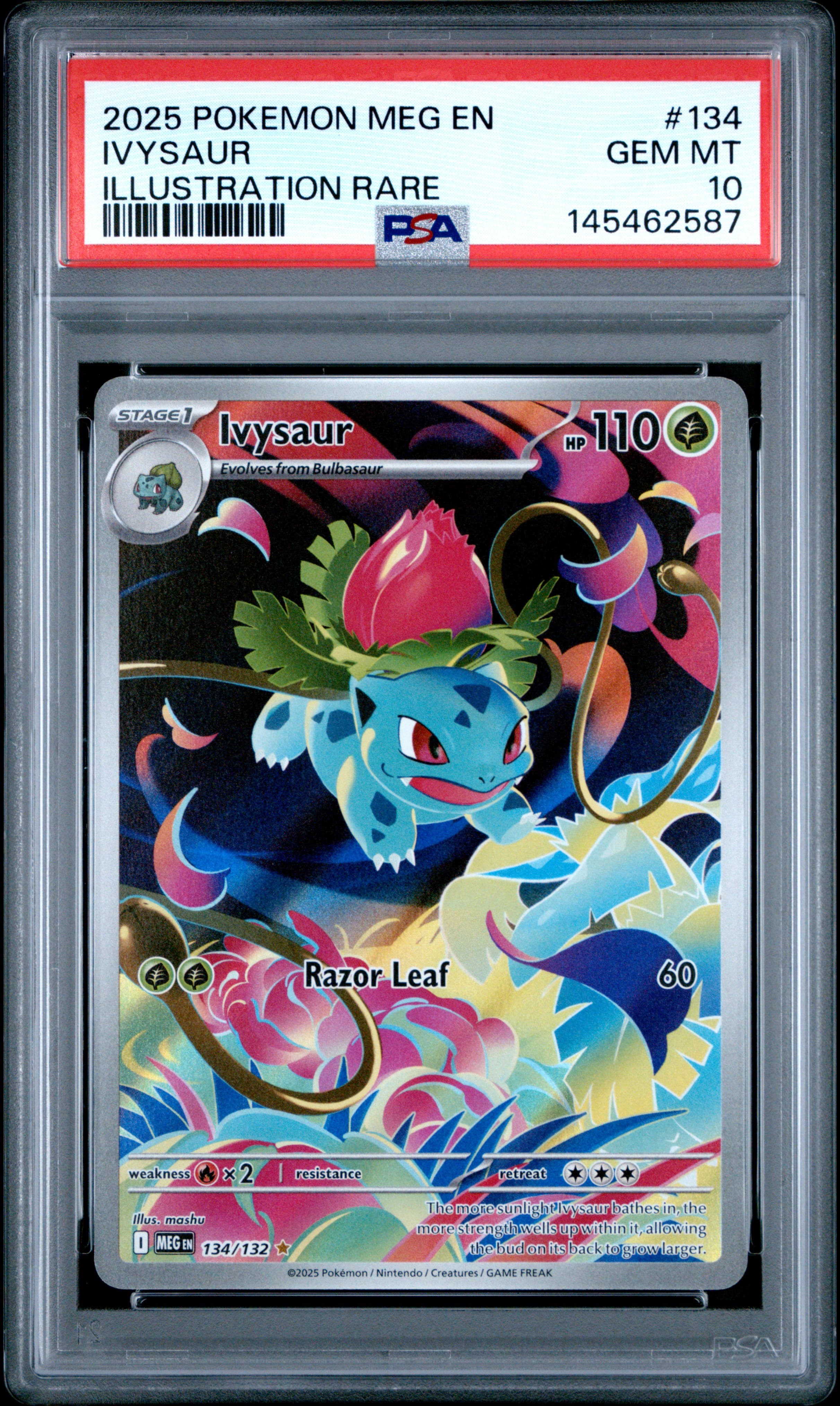 Ivysaur