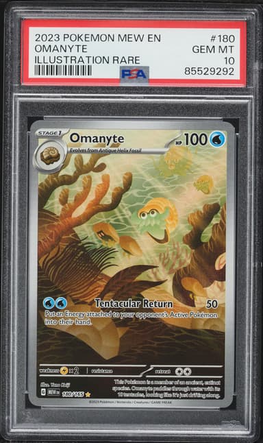 Omanyte